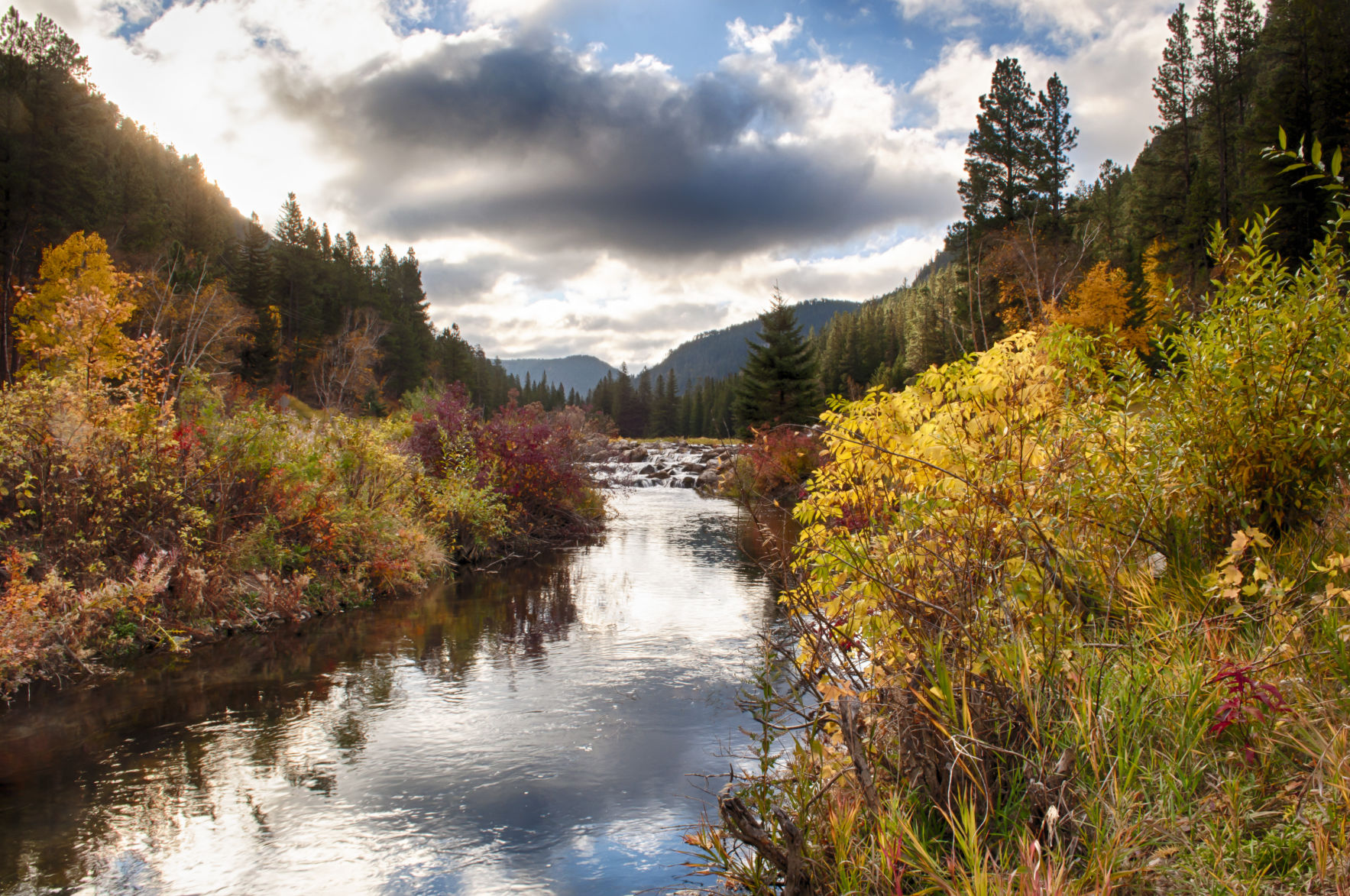 Fall Morning